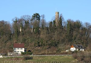 Burg Löwenstein von Süden (2007)