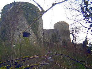 Burg Husen im Februar 2008 von Westen gesehen