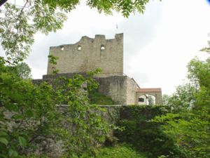 Burg Derneck – Vor der Schildmauer ist die Zwingermauer zu erkennen