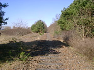 Abzweig der ehemaligen Bahnstrecke Oranienburg–Velten (links) von der ehemaligen Bahnstrecke Oranienburg–Kremmen bei km 32,4/9,9 (Lage52.74405060816213.20908010006)