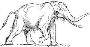 Lebendrekonstruktion eines Elephas antiquus