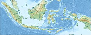 Papandayan (Indonesien)