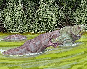 Zwei Inostrancevia verfolgen einen Scutosaurus