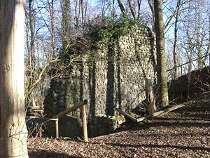 Mauerreste der Schenkenburg Winterstetten