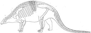 Sklettrekonstruktion von Nodosaurus aus dem Jahr 1921.