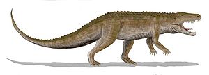 Zeichnerische Lebendrekonstruktion von Ornithosuchus