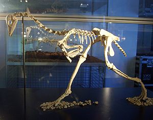 Patagopteryx, Skelettrekonstruktion
