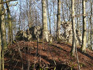 Reste der Schildmauer