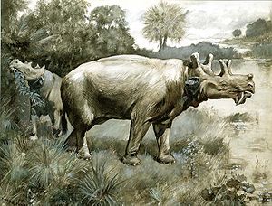 Uintatherium, Zeichnung von Charles R. Knight