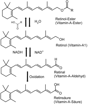 Vitamin-A-Synthese