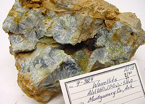 Wavellite - USGS Mineral Specimens 1181.jpg