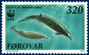 Mesoplodon bidens auf einer Briefmarke der Färöer