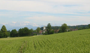 Blick von Nordwesten auf Maur mit seiner Kirche. Im Hintergrund sind die Glarner Alpen zu erkennen.