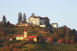 Kapfenstein mit Schloss, Kirche und Weinberg