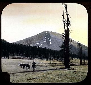 Mount Guyot (um 1900)