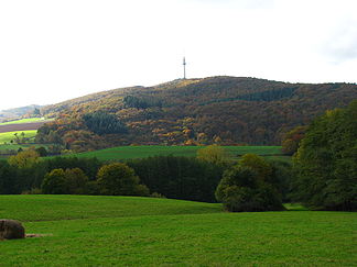 Der Bornberg aus nordöstlicher Richtung