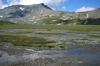 Piz Dolf aufsteigend von der Fuorcla (rom. =Sattel) Raschiglus, gesehen vom oberem Segnesboden. Der Gipfel ist der etwas unscheinbare zweite Höcker von rechts