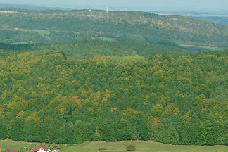 Blick von Süden über den Reitzenberg (Vordergrund), Kambühl (Mitte) zum Großen Hörselberg (Hintergrund).