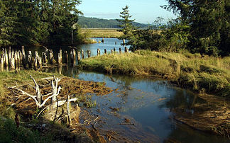 Willapa Bay mit Willapa Hills im Hintergrund