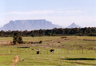 Südafrikanische Landschaft mit Tafelberg und Lion’s Head