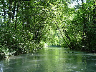 Alte Aare im mittleren Lauf