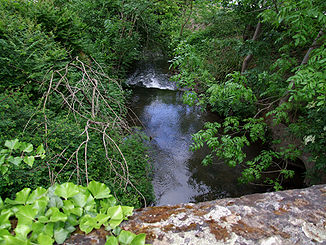 Waldangelbach an der Bachbrücke Rotenberg