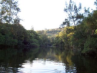 Unterlauf des Barrington River außerhalb des Nationalparks