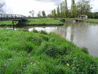 Zusammenfluss des Arnoult (Canal de Pont-l'Abbé) mit dem Canal de la Seudre à la Charente