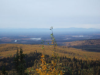 Tal des Chena River östlich von Fairbanks