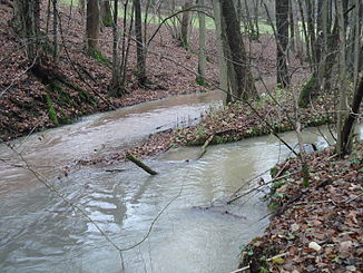 Zusammenfluss der Lauter (links) und dem Abfluss eines Quelltopfes (rechts)