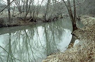 Der Little Muskingum River im Wayne National Forest