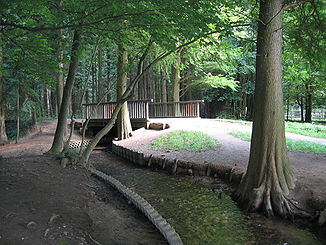 Der Mutzbach im Wildpark Dünnwald