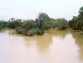 Paroo River in Wanaaring NSW