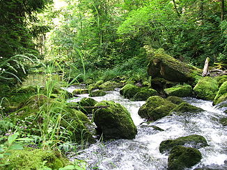 Rottach am Rottachdurchbruch