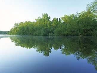 Die Schwentine bei Kiel