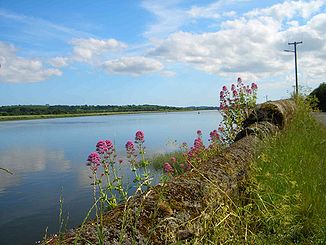 Der Fluss Suir in der Nähe von Waterford