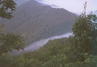 Ein nebliger Morgen am  Pinnacle im Cumberland Gap National Historic Park