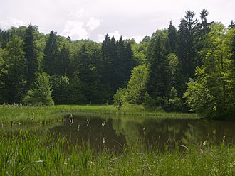 Frau-Holle-Teich am Hohen Meißner