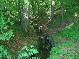 Nettelgraben am Kloster Chorin (Durchstich zur Ragöse, wahrscheinlich aus dem 15. Jahrhundert)