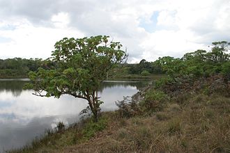 Der Kaulime-See im Nyika-Nationalpark