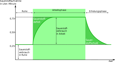 Excess post-exercise oxygen consumption.svg