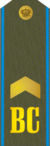 RFAF - Senior Sergeant - Every day green.png
