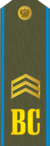 RFAF - Sergeant - Every day green.png