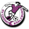 Austria Salzburg Logo 1995.PNG