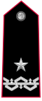 Carabinieri-OF-6.svg