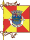 Flagge des Concelhos Barcelos