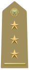 Rank insignia of primo capitano of the Army of Italy (1973).svg