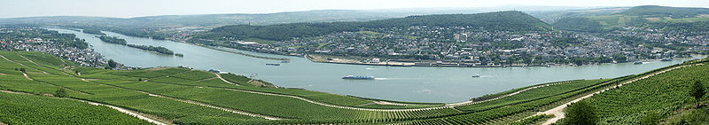 Rhein-Panorama, Blick vom Niederwalddenkmal bei Rüdesheim am Rhein