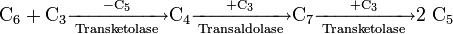 \mathrm{C_6 + C_3 \xrightarrow[Transketolase]{- C_5} C_4 \xrightarrow[Transaldolase]{+ C_3} C_7 \xrightarrow[Transketolase]{+ C_3} 2\ C_5 }