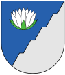 Wappen von Brocēni